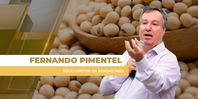 Mercado financeiro nervoso e incerto aumenta volatilidade dos preços e soja sobe em Chicago
