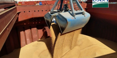 USDA informa venda de 136 mil t de soja nesta 2ª feira (29)