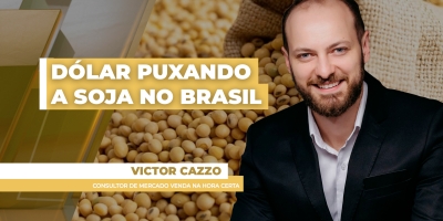 Preços da soja têm semana de altas no Brasil com estímulo do dólar e comercialização avança