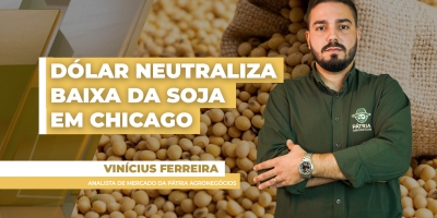 Preços da soja sobem no Brasil nesta 5ª feira com suporte da alta do dólar; negócios evoluem