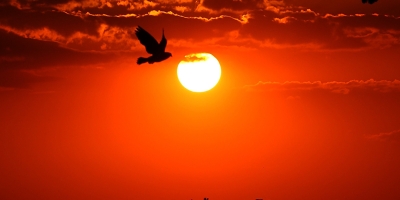 Itália coloca todas as principais cidades em alerta máximo conforme onda de calor se intensifica