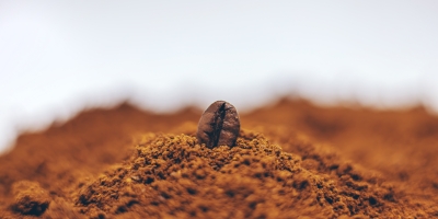 Solo forte, café valorizado: Produtividade, qualidade e resiliência dos cafezais