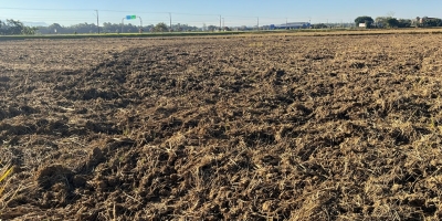 Santa Catarina avança na preparação do solo para receber próxima safra de arroz