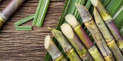 Moagem de cana diminui no Norte e Nordeste mas produção de etanol anidro segue em alta