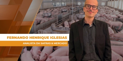 Suinocultura começa 2026 pressionada e ainda sem reação clara nos preços