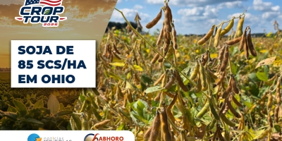 Regiões de Ohio podem registrar até 85 scs/ha de produtividade na soja
