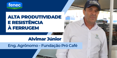 Produtores buscam cultivares de café com resistência à ferrugem e alta produtividade