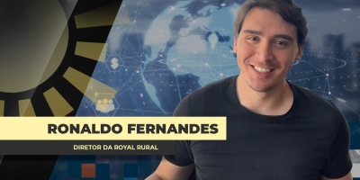 Dólar em novo patamar vai beneficiar mesmo os preços da soja e do milho para o produtor brasileiro?