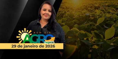 BOM DIA AGRONEGÓCIO - Soja do BR segue pressionada pelo dólar, apesar da CBOT