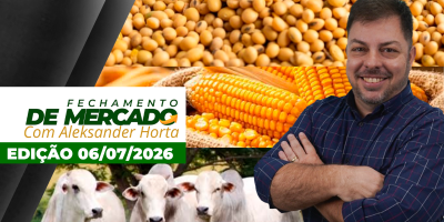 Dia de fortes alta para as commodities agrícolas com clima impulsionando cotações; Mercado do boi segue com negócios travados