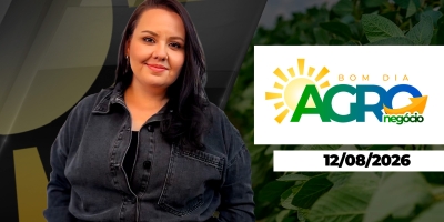 Trigo lidera ganhos em 4ª feira de alta generalizada para as agrícolas; Irã e EUA sem acordo, prazo para o ITR correndo