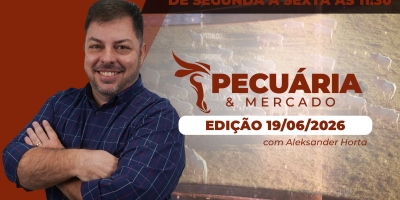 Comportamento da oferta de animais pode mudar expectativa de pressão sobre arroba nos próximos meses