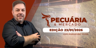 Semana de valorização do boi no mercado futuro deve estimular alta da arroba no físico