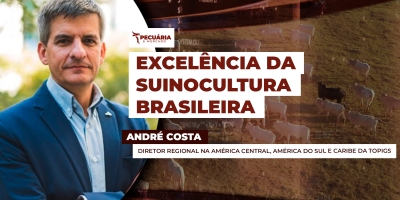 Padrão tecnológico e sanitário da suinocultura brasileira está sendo replicado por outros países