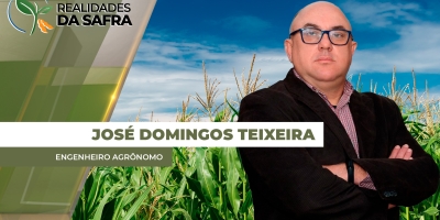 Mais de 30% do milho ficou fora da janela ideal de plantio em Primavera do Leste/MT