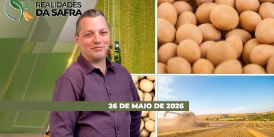 Colheita do milho ocorre pontualmente pelo país e expectativa é de produção de 140 mi. de t