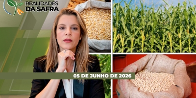 Milho safrinha: o que os números da Conab não mostram sobre a safra 2025/26
