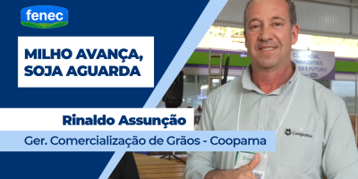 Colheita do milho no Sul de Minas registra altas produtividades; safra de soja tem atraso com fertilizantes