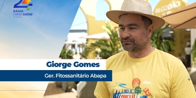 Controle do bicudo no Oeste da Bahia exige planejamento e monitoramento constantes