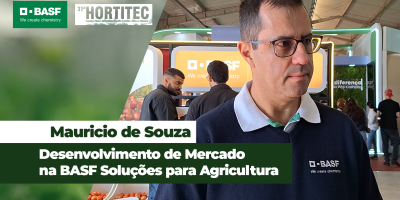Septoria e alternaria são duas das principais doenças dos cultivos de tomate e batata
