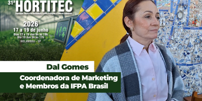 Campanhas de sazonalidade buscam incentivar consumo de frutas, legumes e verduras da estação