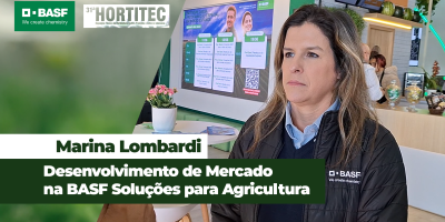 Mosca-branca e tripes são grandes desafios para produtores de tomate e podem causar perdas de até 80%