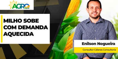Com produção da safrinha já precificada pelo mercado, preço do milho sobe no Brasil empurrado pela demanda interna e externa