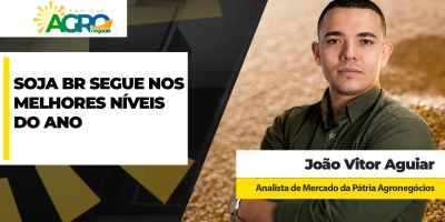 Puxada forte da soja em Chicago combinada a prêmios sustentados no Brasil mantém preços nos melhores níveis do ano no Brasil