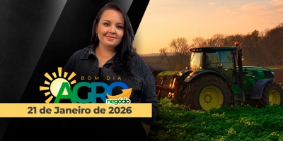 BOM DIA AGRONEGÓCIO