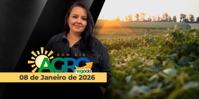 BDA: Como estão os preços da soja no Brasil?