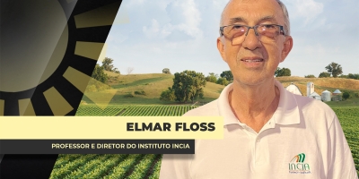 RS: Lavouras caminham para fase de conclusão da safra e clima mantêm produtor em alerta com chuvas intensas no Sul do BR