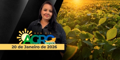 Grãos retomam trabalhos em Chicago em queda, margens apertadas na soja e a sobrevivência econômica do produtor brasileiro