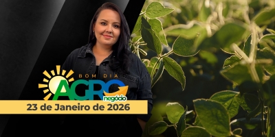 BOM DIA AGRONEGÓCIO - Fretes em alta pressionam ainda mais a soja no BR