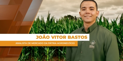 Mercado travado segura preços do milho no Brasil, mas já há sinais de volta da demanda