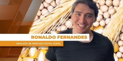 Soja tem semana marcada pela colheita no BR e biocombustíveis nos EUA; milho de olho no Irã