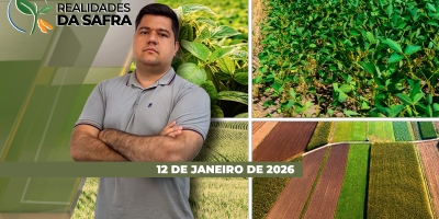 Colheita da soja avança em Sorriso/MT e começa pontualmente em partes do Paraná