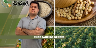 Maranhão espera perdas na safra de soja e Rio Grande do Sul se preocupa com o frio para o arroz