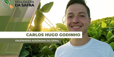 Virada de ano chuvosa ajuda desenvolvimento da soja em São Pedro do Sul/RS