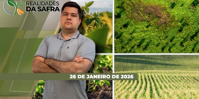 Colheita da soja começa com boas produtividades em Diamantino/MT, mas quedas de produtividade em Ipameri/GO