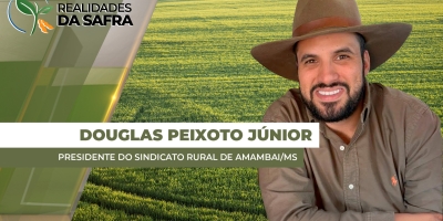 Soja entra na reta final de desenvolvimento em Amambai/MS com projeção de mais produtividade do que anos anteriores