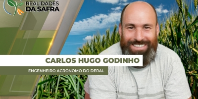 Colheita da soja começa lentamente no Paraná com produtividades dentro do esperado