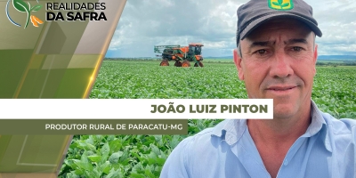 Colheita da soja deve começar na próxima semana em Paracatu/MG