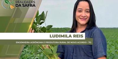 Após atraso e replantio, soja se desenvolve bem em Novo Acordo/TO