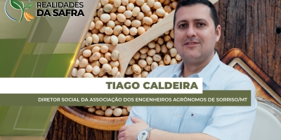 Sorriso/MT já colheu 8% da safra de soja 2025/26