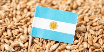 Vendas de trigo na Argentina ficam aquém do esperado