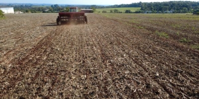 Semeadura de trigo evolui, com restrições pontuais decorrentes das chuvas