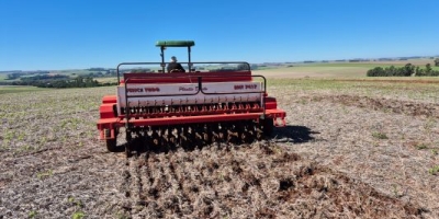 Inicia período recomendado de plantio de trigo no RS