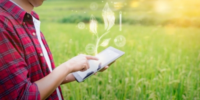 Chegada do inverno reforça o papel do clima e da inovação na produtividade do campo brasileiro