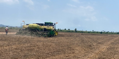 Fazenda de cooperado da Castrolanda alcança 76 sacas por hectare na soja do Tocantins