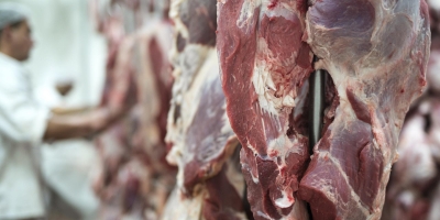 Com 35% da produção voltada à exportação, carne bovina entra em ciclo de valorização